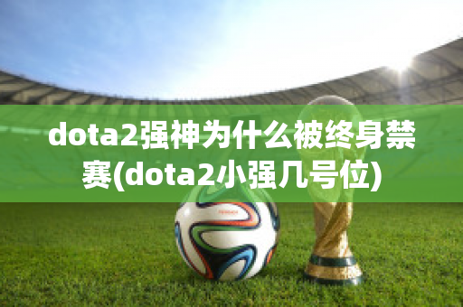 dota2强神为什么被终身禁赛(dota2小强几号位)