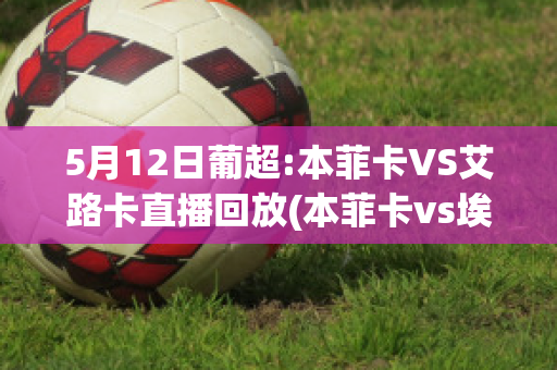 5月12日葡超:本菲卡VS艾路卡直播回放(本菲卡vs埃因)