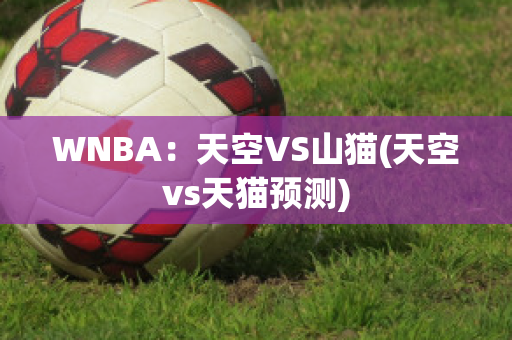 WNBA：天空VS山猫(天空vs天猫预测)