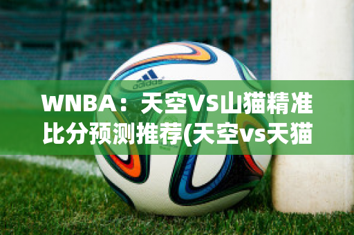 WNBA：天空VS山猫精准比分预测推荐(天空vs天猫比分)