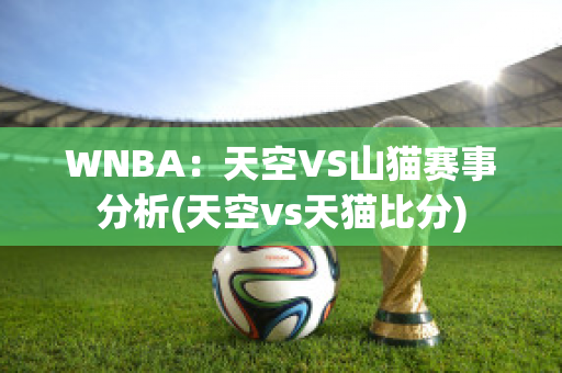 WNBA：天空VS山猫赛事分析(天空vs天猫比分)