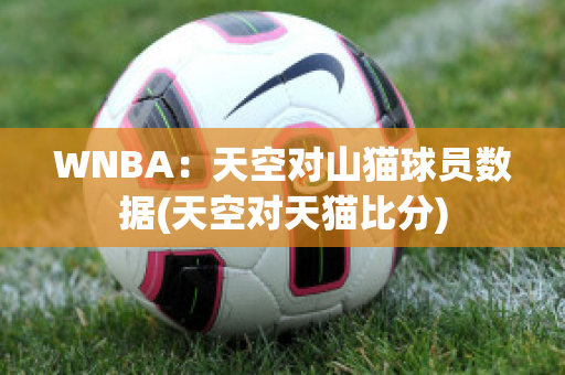 WNBA：天空对山猫球员数据(天空对天猫比分)