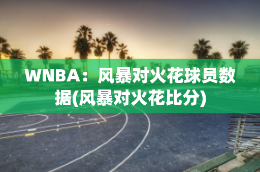 WNBA：风暴对火花球员数据(风暴对火花比分)