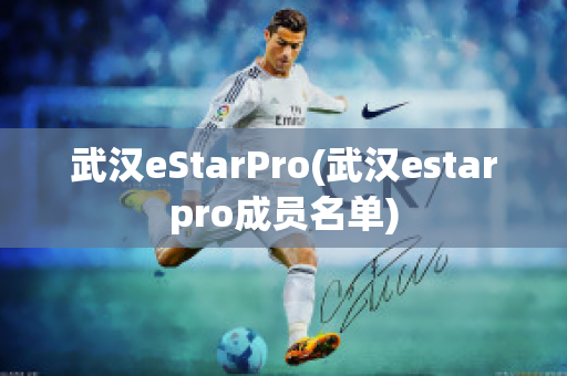 武汉eStarPro(武汉estarpro成员名单)