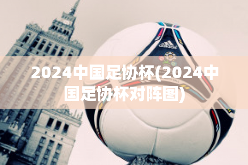 2024中国足协杯(2024中国足协杯对阵图)