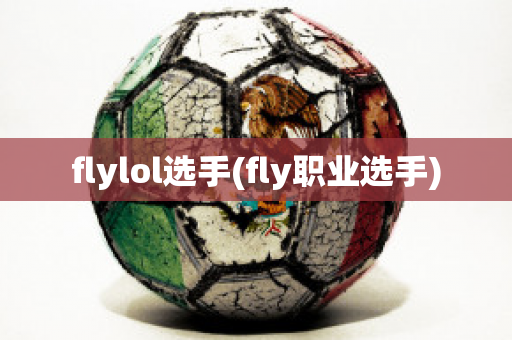 flylol选手(fly职业选手)