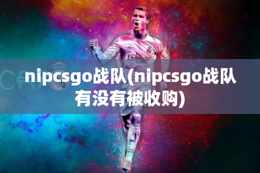 nipcsgo战队(nipcsgo战队有没有被收购)