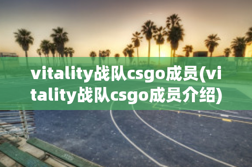 vitality战队csgo成员(vitality战队csgo成员介绍)