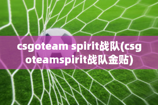 csgoteam spirit战队(csgoteamspirit战队金贴)